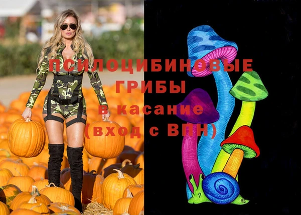 шишки Верхний Тагил